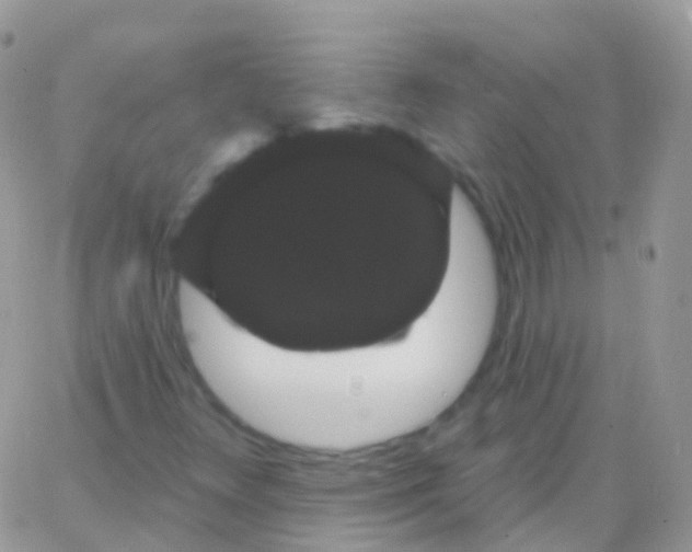 X0000065991348200603172130