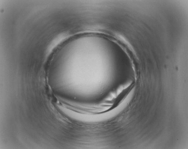 X0000065991360200603172130