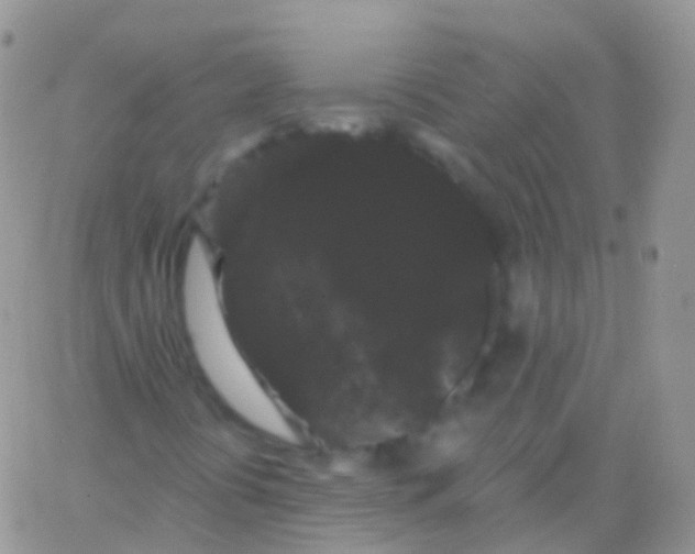 X0000065991394200603172128