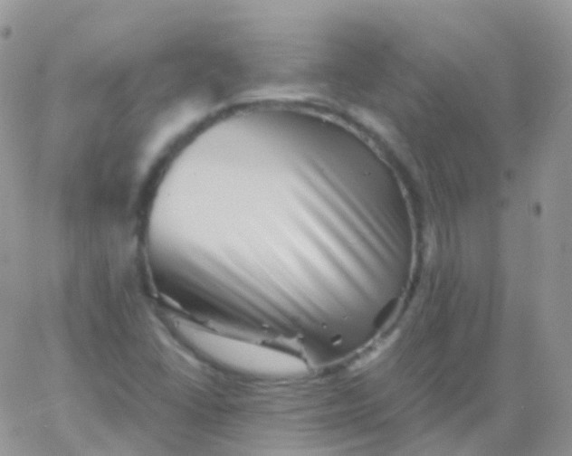X0000065991406200603172128