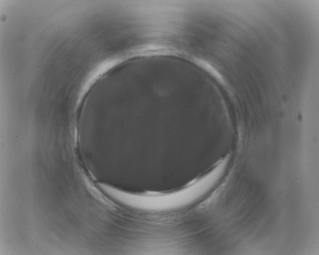 X0000065991413200603172129