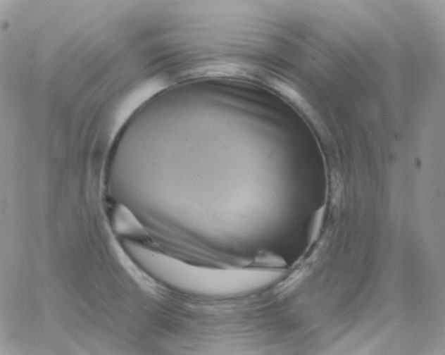 X0000065991426200603172129