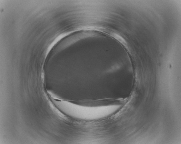X0000065991428200603172129