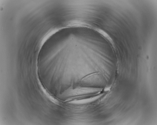 X0000065991431200603172129