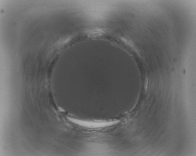 X0000065991445200603172128