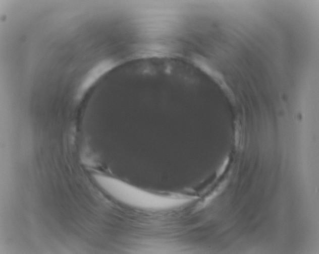 X0000065991453200603172128