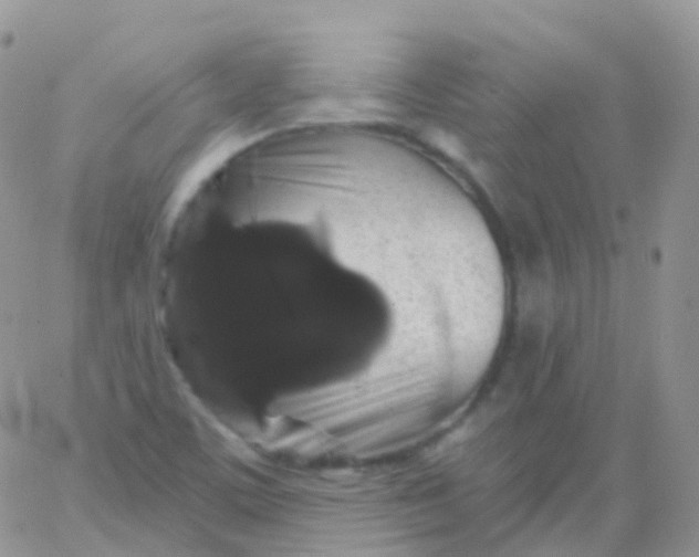 X0000065991459200603172128