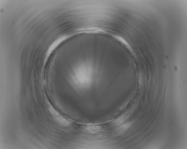 X0000065991466200603172128