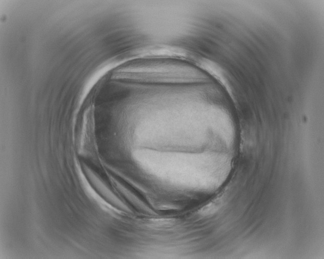 X0000065991483200603172128