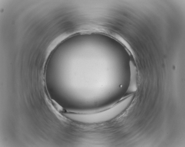 X0000065991485200603172128
