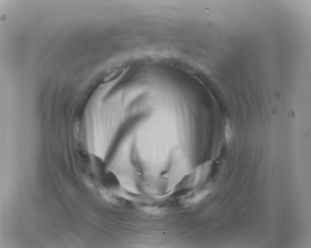X0000065991492200603172127