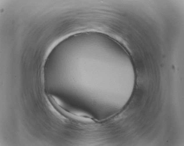 X0000065991516200603172127