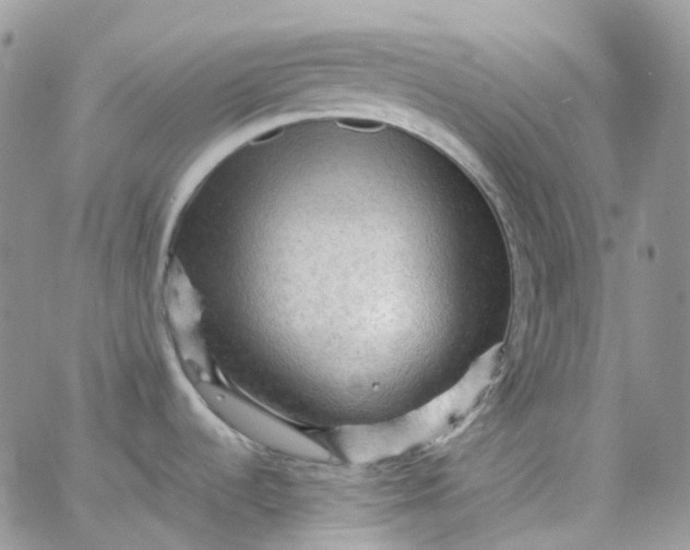 X0000065991536200603172127