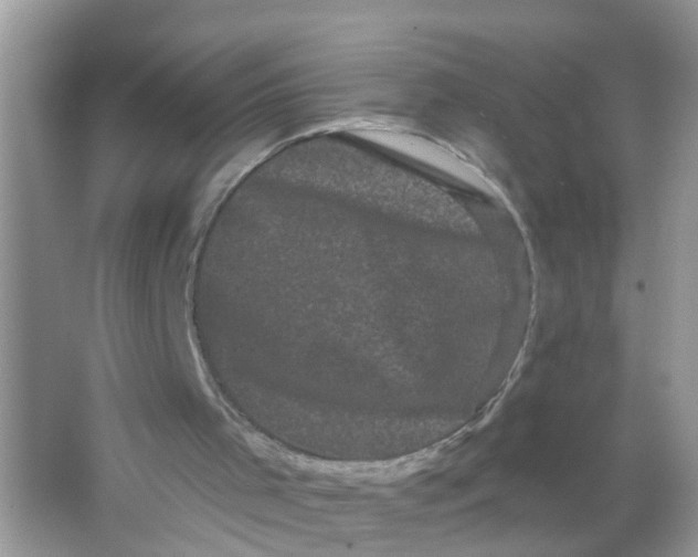X0000065990001200603242017