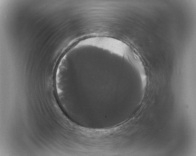 X0000065990002200603242017