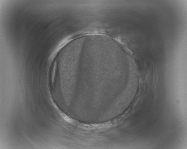 X0000065990005200603242017