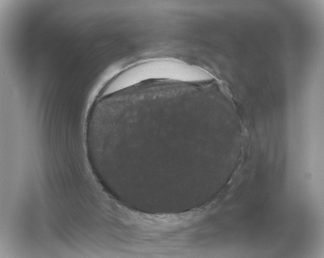 X0000065990006200603242017