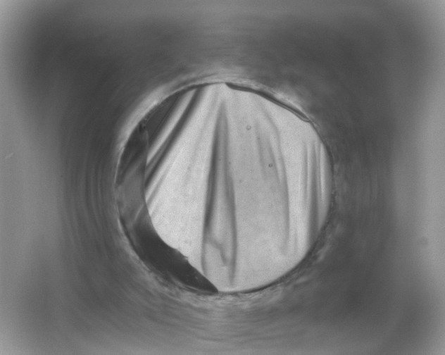 X0000065990007200603242017