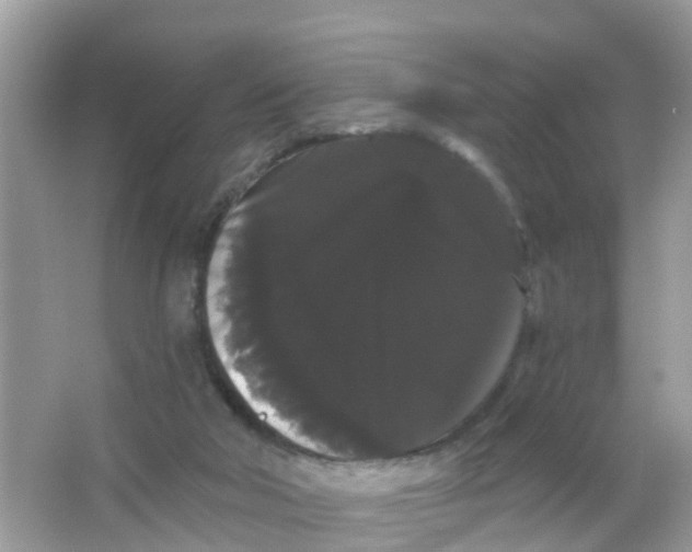 X0000065990018200603242017