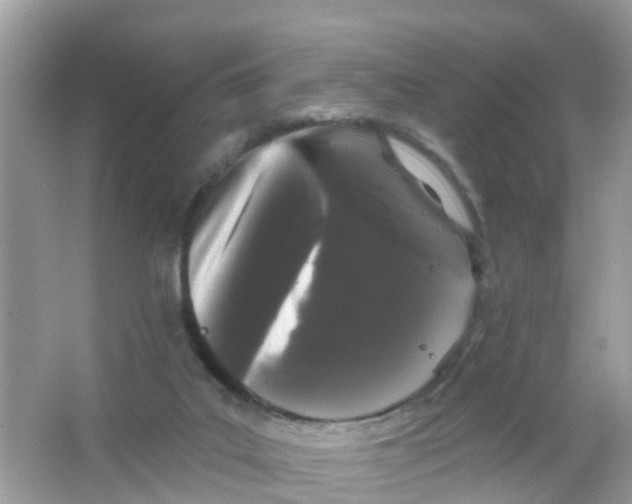 X0000065990019200603242017