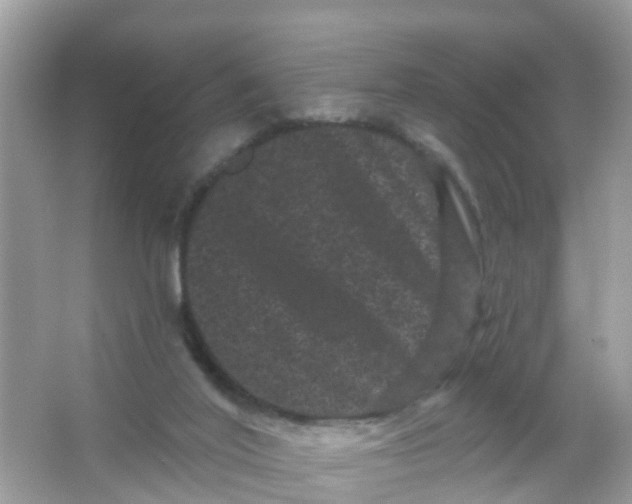 X0000065990020200603242017