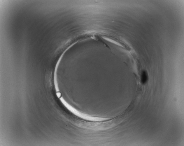 X0000065990023200603242017