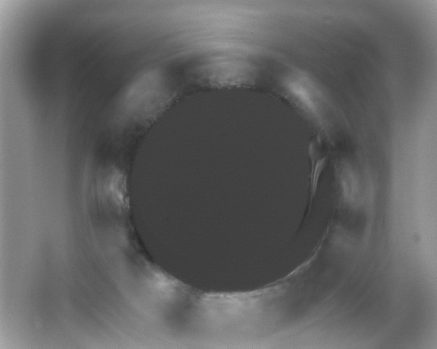 X0000065990025200603242017