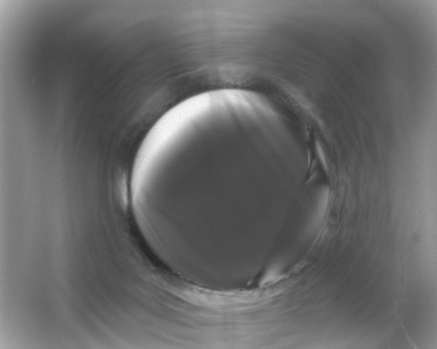 X0000065990027200603242017