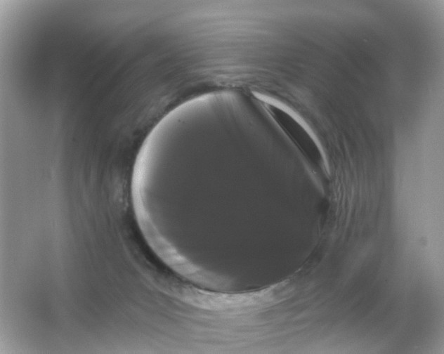 X0000065990031200603242017