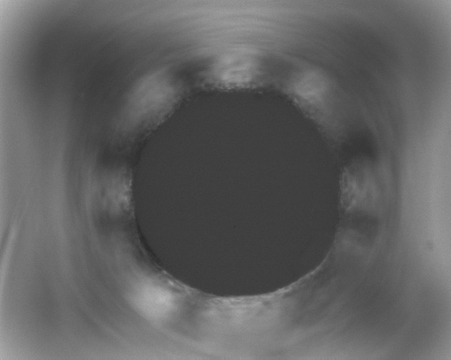 X0000065990033200603242017