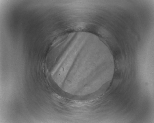X0000065990037200603242017