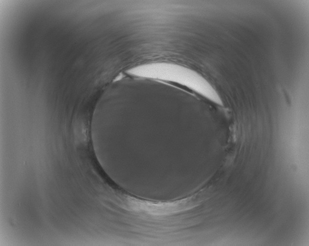 X0000065990039200603242017