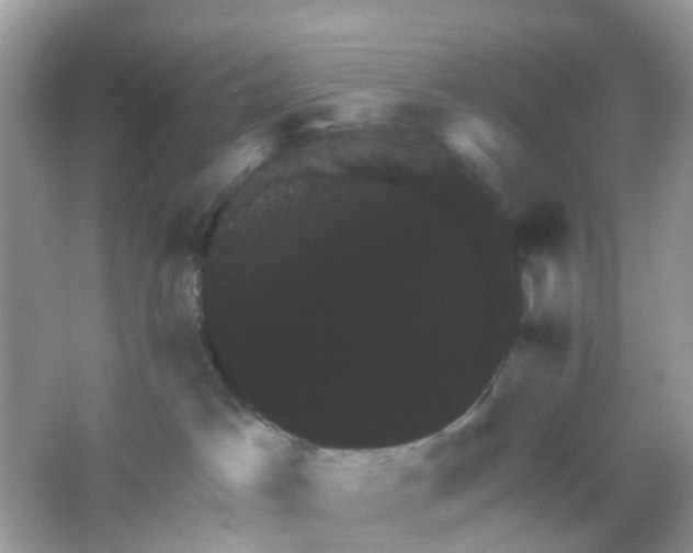 X0000065990045200603242017