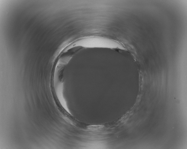 X0000065990051200603242016