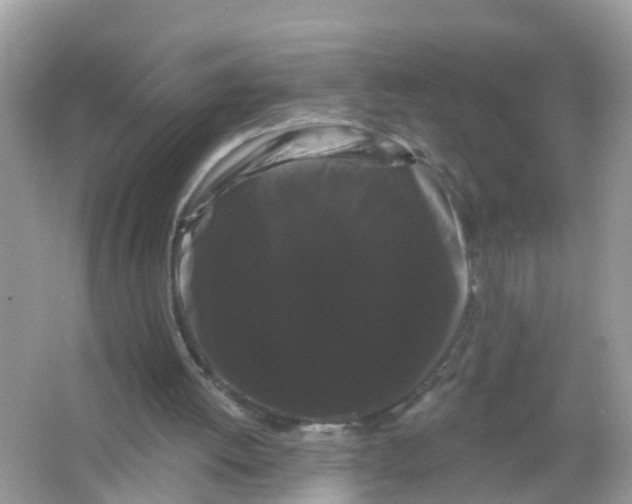 X0000065990052200603242016