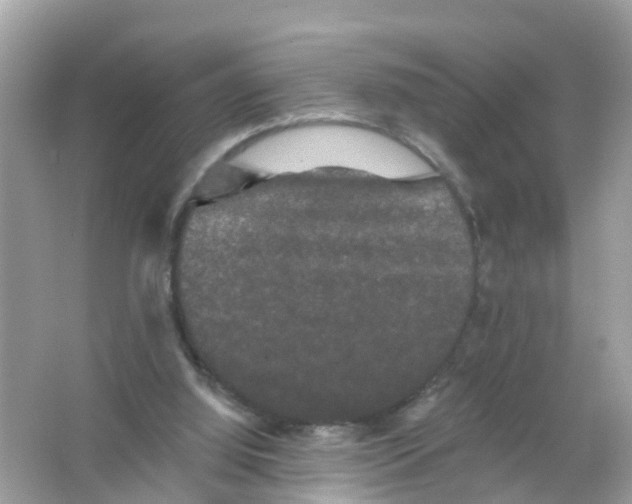 X0000065990060200603242016