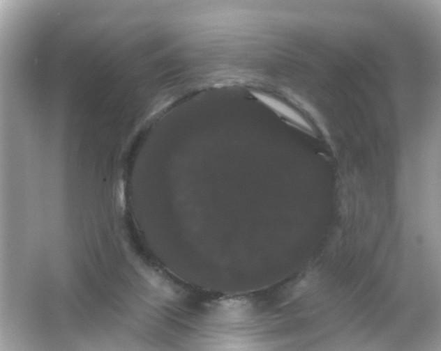 X0000065990067200603242016