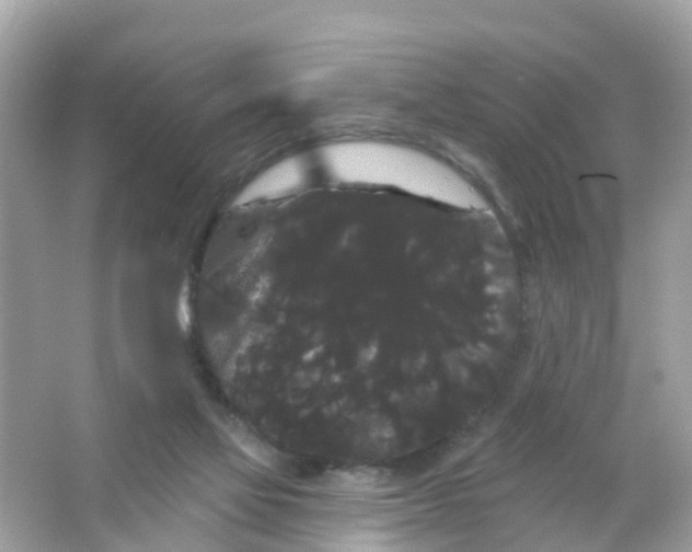 X0000065990069200603242016