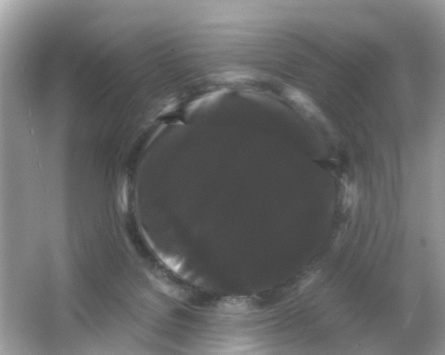 X0000065990076200603242016