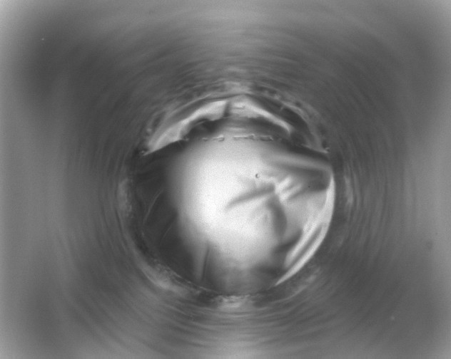 X0000065990088200603242016