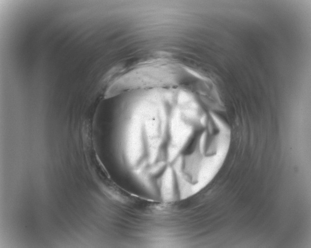 X0000065990092200603242017