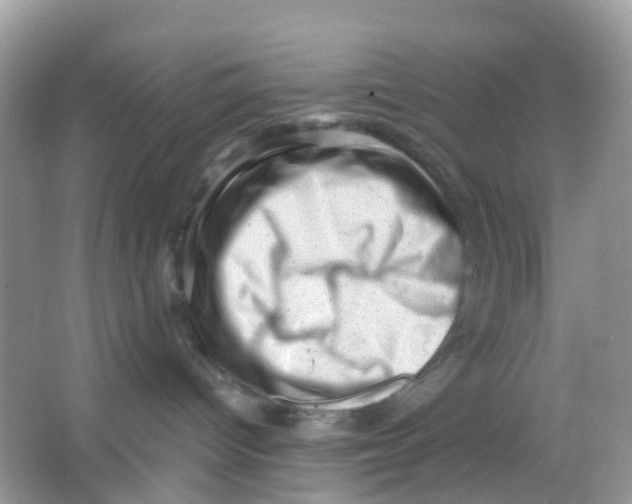 X0000065990096200603242017