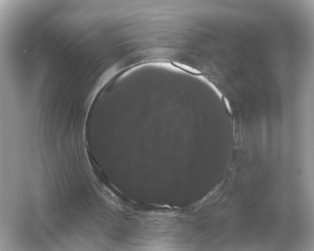 X0000065990099200603242016