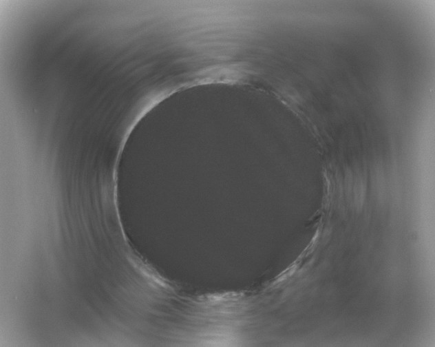 X0000065990100200603242016