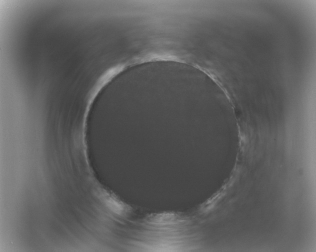 X0000065990104200603242016