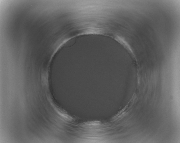 X0000065990108200603242016
