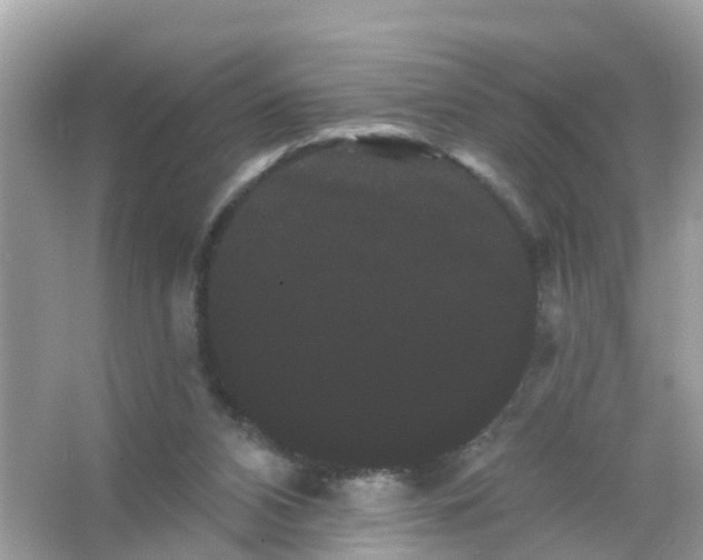 X0000065990112200603242016