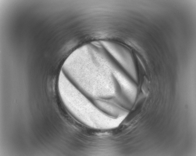 X0000065990115200603242015