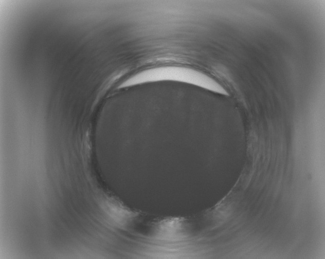 X0000065990116200603242015