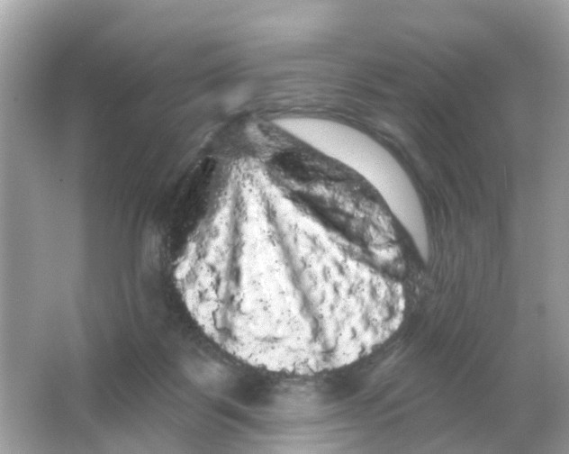 X0000065990123200603242015